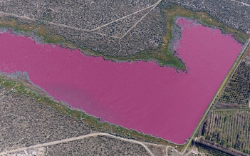 Hồ nước màu hồng đáng sợ tại Argentina