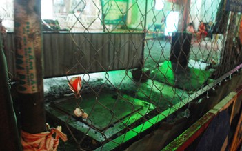 Giám đốc chống ngập nhận cảnh cáo vụ người đón xe buýt té cống chết oan