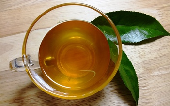 Món ngon dễ làm: Uống trà xanh mật ong mát lành tại nhà