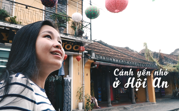 Cánh yến nhỏ ở Hội An