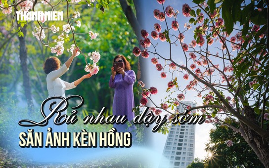 Rủ nhau dậy sớm săn ảnh kèn hồng ở TP.HCM