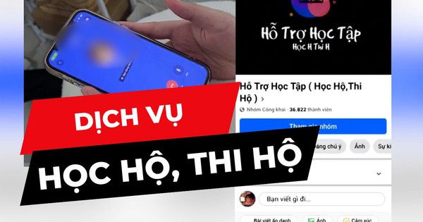 Thu nhập mỗi tháng 3-4 triệu đồng