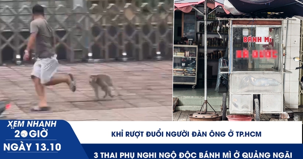 Xem nhanh 20h ngày 13.10: Khỉ rượt đuổi người đàn ông ở TP.HCM | 3 thai phụ nghi ngộ độc bánh mì ở Quảng Ngãi