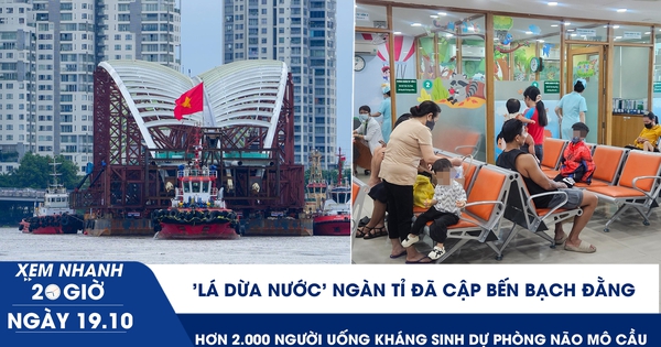 Xem nhanh 20h ngày 19.10: 'Lá dừa nước' ngàn tỉ đã cập bến Bạch Đằng | Cập nhật phòng bệnh não mô cầu ở TP.HCM