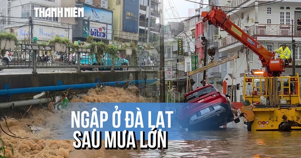 Chiều chủ nhật 'chật vật' sau mưa lớn ở Đà Lạt: Cứu ô tô chết máy, giao thông ì ạch