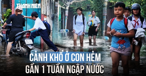 Cảnh khổ ở hẻm TP.HCM: Gần 1 tuần ngập nước, học sinh lội nước đi học