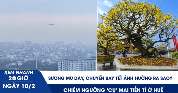 Xem nhanh 20h ngày 10.2: Sương mù dày, các chuyến bay tết ảnh hưởng ra sao? | Chiêm ngưỡng 'cụ' mai tiền tỉ ở Huế