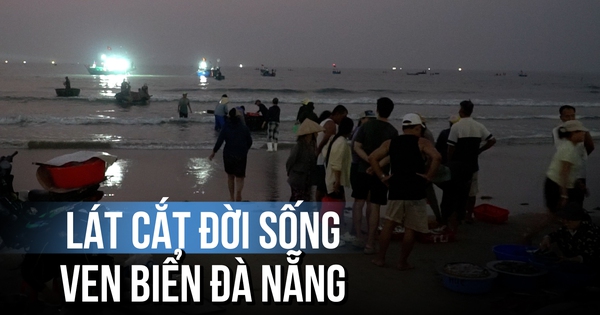 Chợ tan khi mặt trời lên: Một lát cắt đời sống ven biển Đà Nẵng