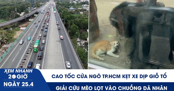 Xem nhanh 20h ngày 25.4: Cao tốc cửa ngõ TP.HCM kẹt xe dịp Giỗ tổ | Giải cứu mèo lọt vào chuồng dã nhân