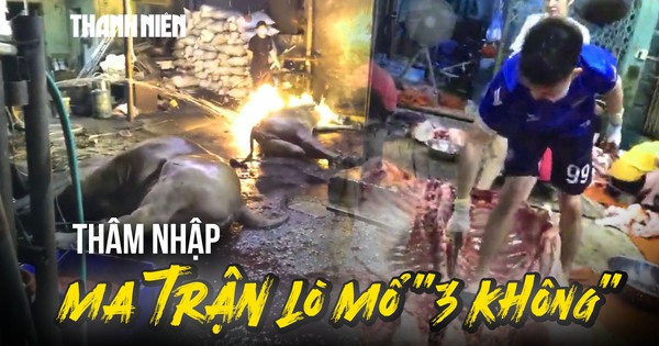 Thâm nhập những lò mổ '3 không': Sốc với cảnh 'hóa kiếp' trâu bò trên nền đất