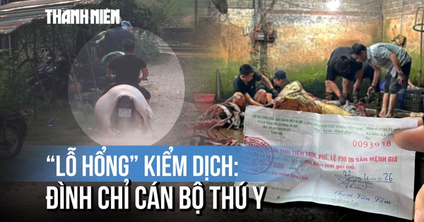 Xử lý vụ 'lỗ hổng kiểm dịch': Hà Nội, Phú Thọ chỉ đạo nóng, tạm đình chỉ cán bộ thú y