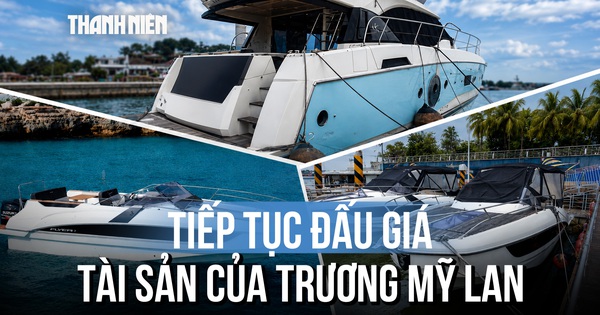 Sắp bán đấu giá 3 du thuyền và tàu hạng sang của bà Trương Mỹ Lan