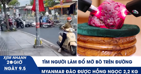 Xem nhanh 20h ngày 9.5: Tìm người làm đổ mỡ bò trên đường ở TP.HCM | Myanmar đào được hồng ngọc 2,2 kg