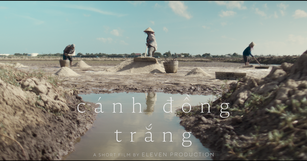 Cánh đồng trắng | Phim ngắn Vietnamese 2026