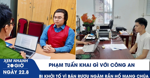 Xem nhanh 20h ngày 22.8: Phạm Tuấn khai gì với công an? | Bị khởi tố vì bán rượu ngâm rắn hổ mang chúa
