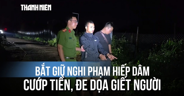 Bắt nghi phạm dọa giết, cướp tài sản, hiếp dâm phụ nữ 63 tuổi