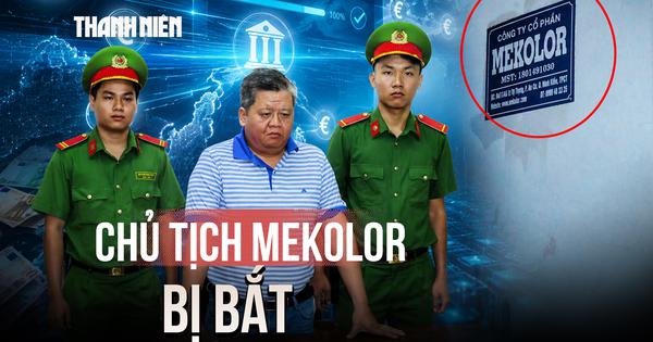 Vì sao ông Vũ Xuân Trường, Chủ tịch Mekolor bị bắt?
