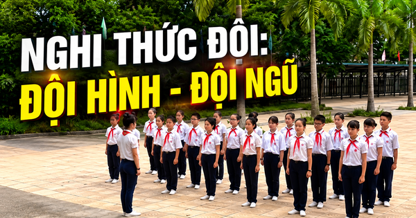 Hướng dẫn Nghi thức Đội: Đội hình - Đội ngũ