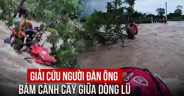 Thót tim cảnh dùng mô tô nước giải cứu người đàn ông bám cành cây giữa dòng lũ
