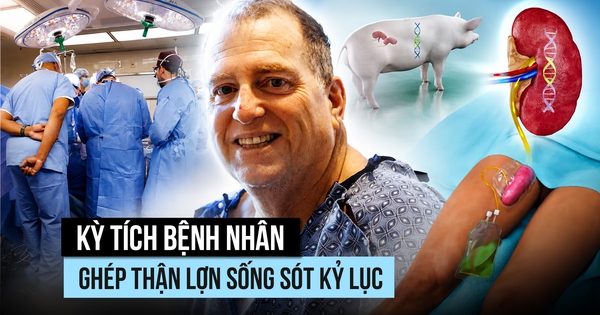 Bệnh nhân ghép thận lợn đạt thời gian sống kỷ lục