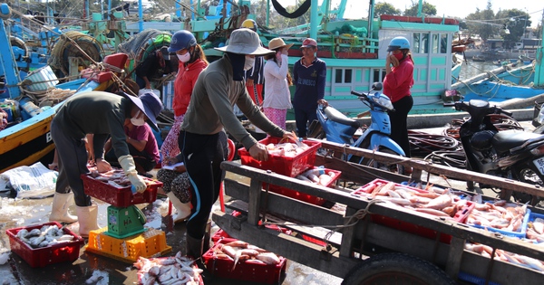 Bình Thuận: Ban hành nghị quyết nâng cao đời sống, chỉ số hài lòng của người dân