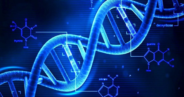 Cách nào để xác định tính chính xác của xét nghiệm ADN ông cháu?
