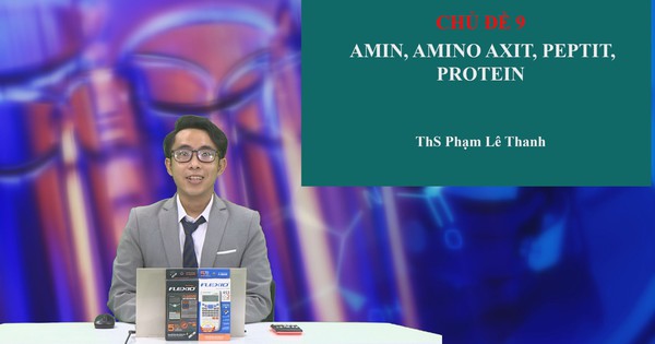 Tìm hiểu về quá trình amin amino axit protein trong cơ thể con người