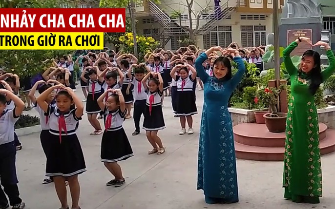 cha cha cha tin t c h nh nh video b nh lu n