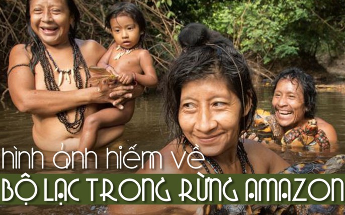 Rừng Amazon Lá phổi xanh của thế giới bị tàn phá ở mức độ gây sốc  Môi  trường  Vietnam VietnamPlus