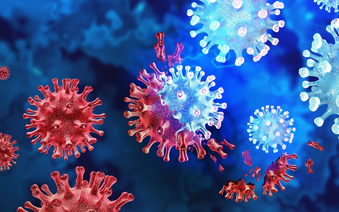 Viện Virus học Vũ Hán - một trong những viện nghiên cứu về virus lớn nhất và sơm nhất thành lập, đã tạo ra sự chú ý của toàn thế giới trong những năm gần đây. Tại đây, các nhà khoa học đã đưa ra nhiều kết luận quan trọng về virus corona, giúp toàn thể thế giới có thể hiểu rõ hơn về loại virus này.