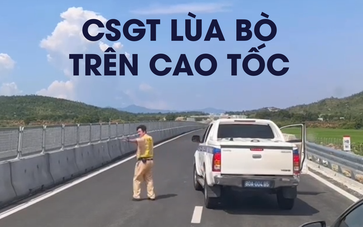 Bi hài CSGT phải lùa bò trên cao tốc Vĩnh Hảo - Phan Thiết mới tinh