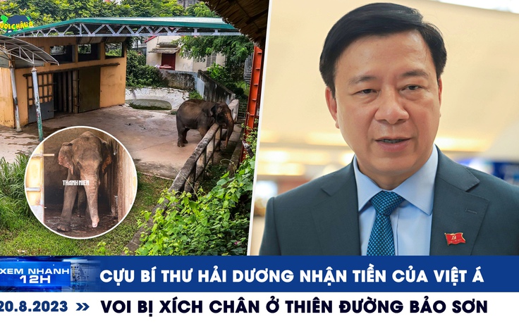 Xem nhanh 12h: Cựu Bí thư Hải Dương nhận tiền của Việt Á | Voi bị xích chân ở Thiên Đường Bảo Sơn