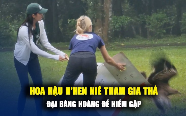 Hoa hậu H’Hen Niê trực tiếp tham gia thả đại bàng hoàng đế hiếm gặp