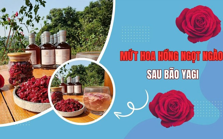 Mứt hoa hồng ngọt ngào sau bão Yagi