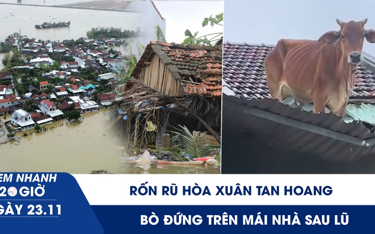 Xem nhanh 20h ngày 23.11: Rốn rũ Hòa Xuân tan hoang | Xúc động hình ảnh bò đứng trên mái nhà sau lũ