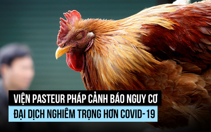 Viện Pasteur Pháp cảnh báo nguy cơ đại dịch đáng sợ hơn Covid-19