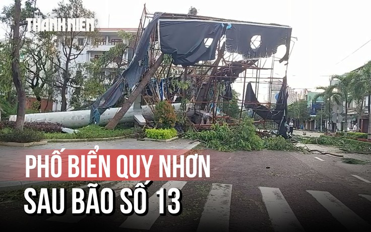 Phố biển Quy Nhơn sau bão số 13: Cây đổ, nhà tốc mái, tàu chìm