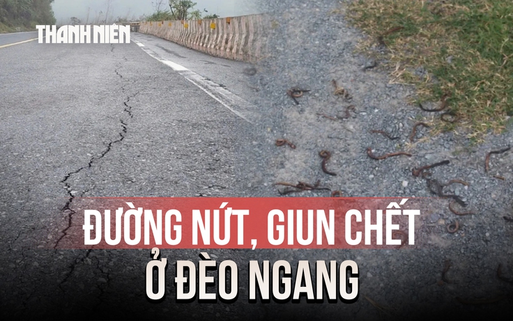 Bất an khi đường nứt, giun chết hàng loạt ở Đèo Ngang