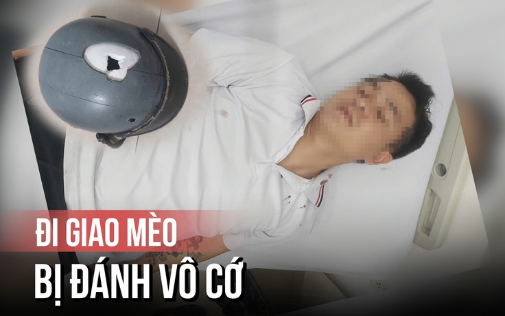 Đi giao mèo, bị người đàn ông lạ tấn công vô cớ