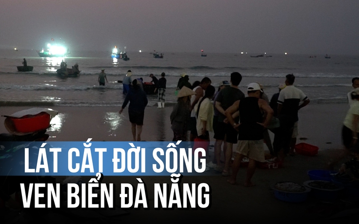 Chợ tan khi mặt trời lên: Một lát cắt đời sống ven biển Đà Nẵng