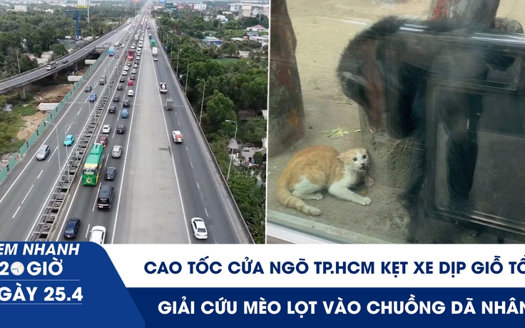 Xem nhanh 20h ngày 25.4: Cao tốc cửa ngõ TP.HCM kẹt xe dịp Giỗ tổ | Giải cứu mèo lọt vào chuồng dã nhân