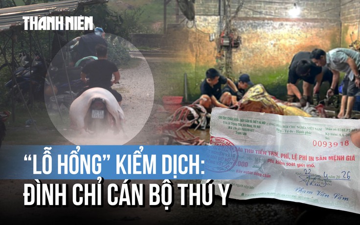 Xử lý vụ 'lỗ hổng kiểm dịch': Hà Nội, Phú Thọ chỉ đạo nóng, tạm đình chỉ cán bộ thú y
