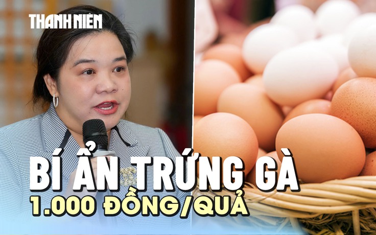 Bí ẩn trứng gà 1.000 đồng/quả, nhà sản xuất thực phẩm sạch bế tắc