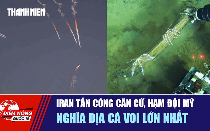 Tiêu điểm quốc tế 12.6: Iran tấn công căn cứ, hạm đội Mỹ | Nghĩa địa cá voi lớn nhất