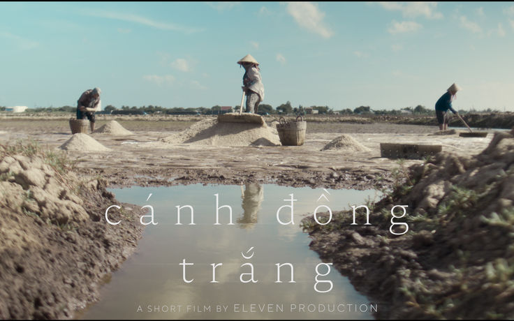 Cánh đồng trắng | Phim ngắn Vietnamese 2026