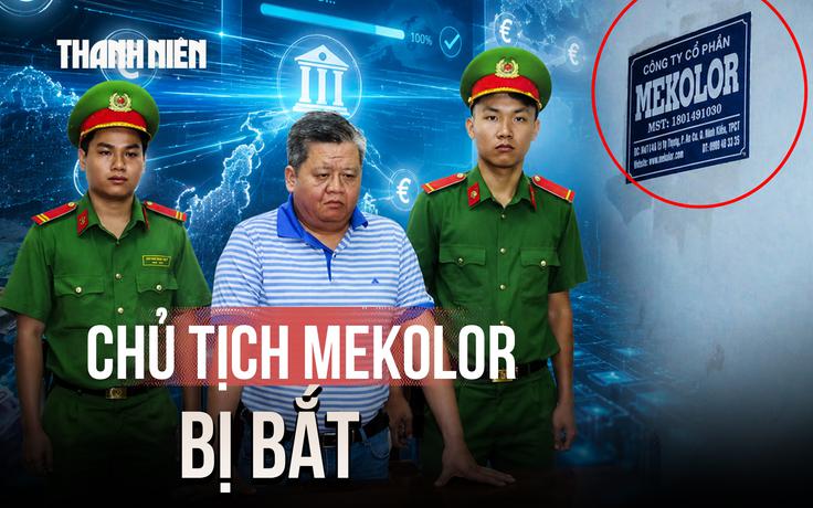 Vì sao ông Vũ Xuân Trường, Chủ tịch Mekolor bị bắt?
