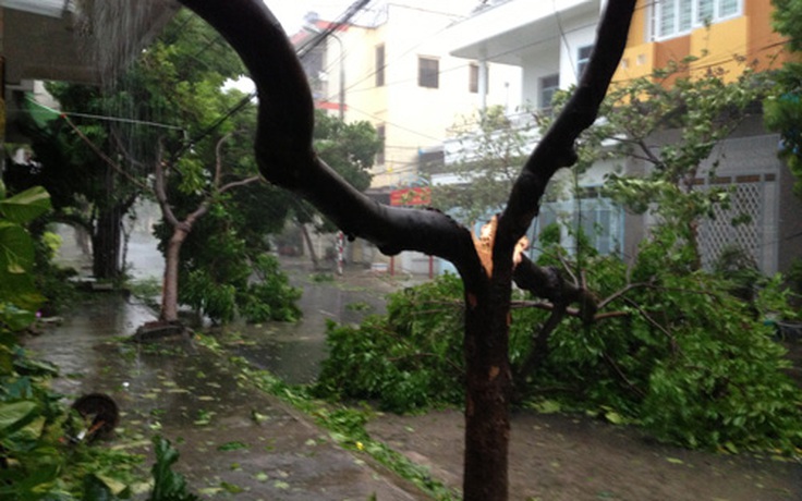 Diễn biến bão số 11 tại Quảng Nam