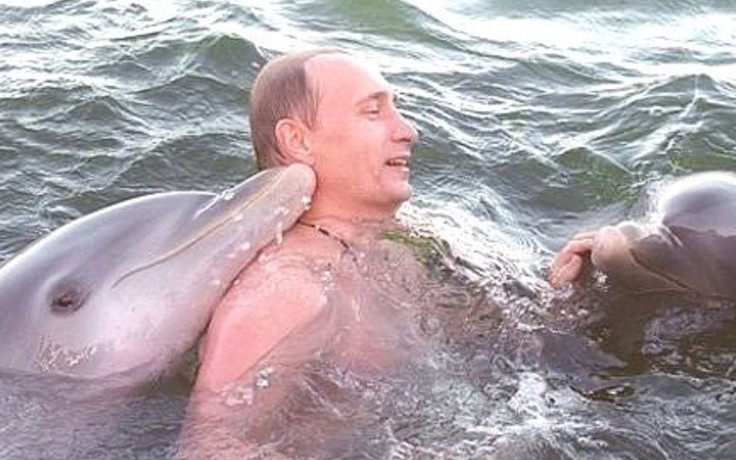 Video độc đáo ông Putin vẫy vùng cùng cá heo