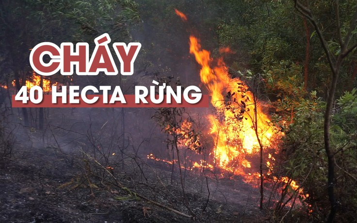 Cháy suốt 5 giờ, 40 hecta rừng bị thiệu rụi dưới trời nắng nóng