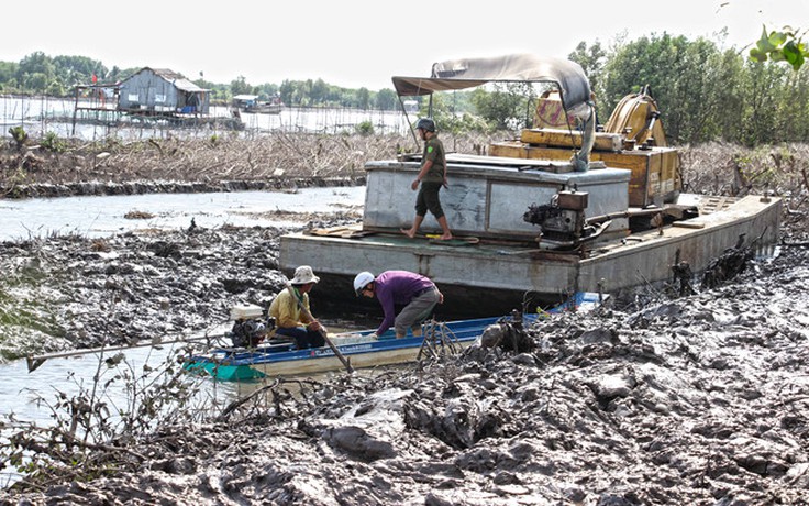 Vụ 'chặt cây, hút bãi bồi': UBND tỉnh Cà Mau yêu cầu xử lý lãnh đạo xã